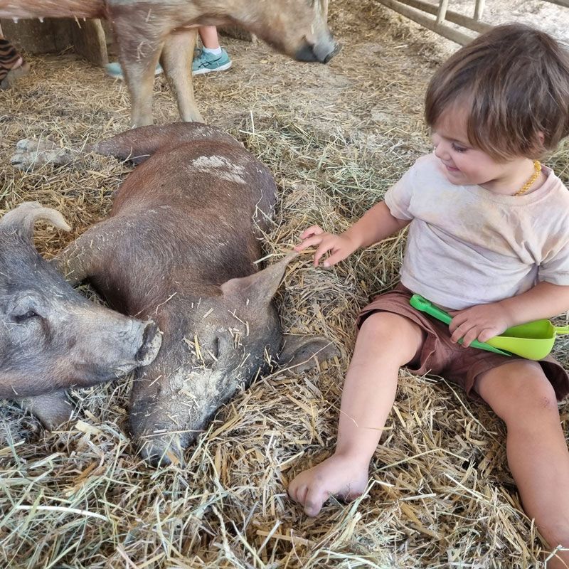 Kleinkind und Schweinekinder